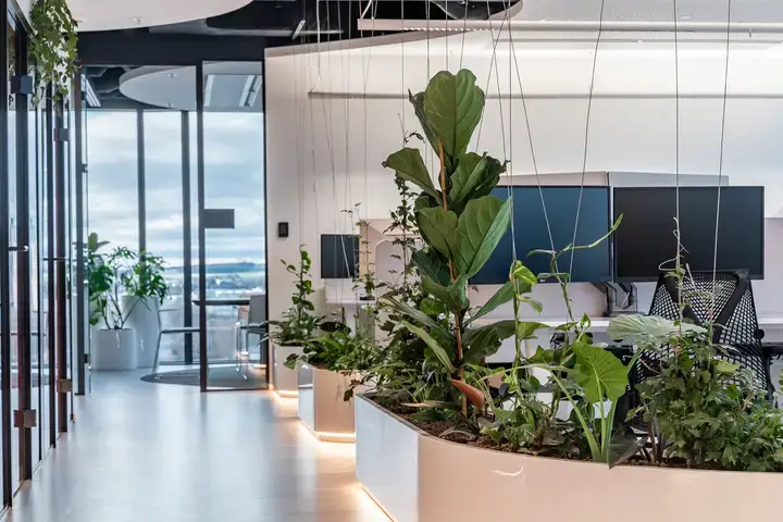 Profesionální fotografování nemovitostí Ostrava - 23